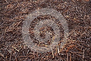 Broken sedge background