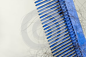 Broken and shed hair on the plastic comb.