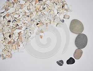 Broken shells and pebbles background
