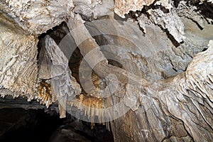 Broken Shield in Lehman Caves