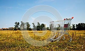 Broken shopping cart in the nature