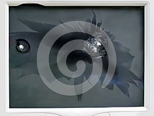 Broken shot bullets screen of computer monitor