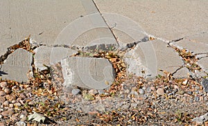 Broken sidewalk concrete in autumn