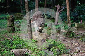 Broken statues of Buddha in a forest temple