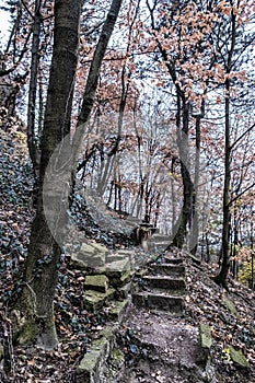 Broken stoned footpath in the autumn forest, Nitra