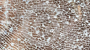 Broken tempered glass abstract background texture, shattered glass window object structure backdrop, object macro detail extreme