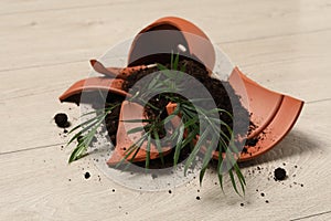 Broken terracotta flower pot with soil and plant on floor