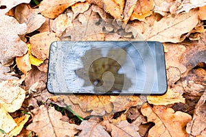 Broken touch phone on a background of autumn leaves .silhouette maple leaf, autumn concept