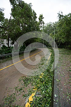 Broken tree fall down block the road