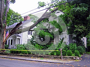 Broken tree on house - hurricane damage