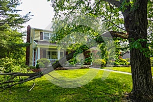 A broken tree limb lays across the green lawn in front of a large house after a severe storm