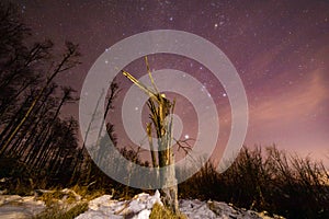 Broken tree trunk with clear night sky full of stars