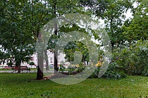 Broken trees and branches. Thunderstorm, heavy rain with hail consequences. Climate changes, environmental problem