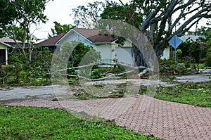 Broken trees with house after hurricane