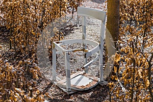 A broken white chair in a garden Labyrinth, Germany