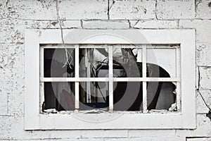 A broken window in an abandoned building by the side of the road in white