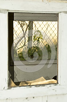 Broken window of buidling