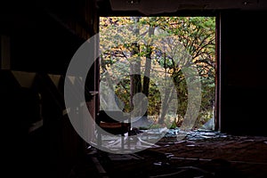 Broken Window Open to Autumn Forest - Abandoned Resort - Pocono Mountains - Pennsylvania