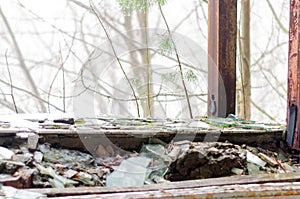 Broken window and trash with plants on background in ruined school in Pripyt