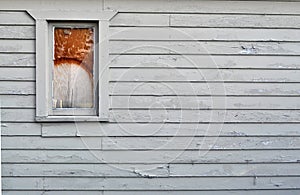 Broken window on wall with peeling paint