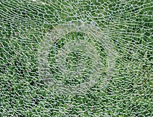 Broken windshield glass on a green background.