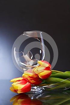 Broken Wineglass And Flowers