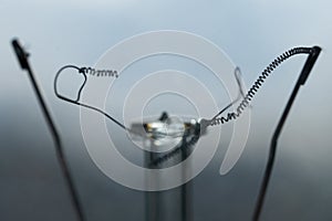 Broken wire filament of a burned incandescent light bulb macro