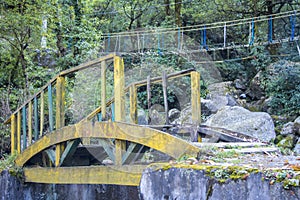 Broken Wooden bridge in the jungle with zip line in background