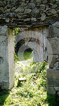 Broken wooden door in ruins on grass