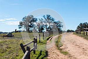 Broken Wooden Fence Along Dirt Road Near Copse of Trees