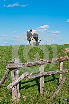 Broken wooden fence with barbed wire