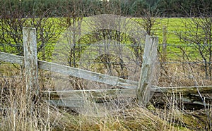 A broken wooden fence by a pubic path photo