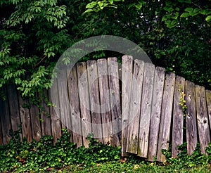 Broken wooden fence struggles to stand