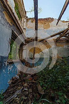 broken wooden window and room with tall grass, view inside of an abandoned half-destroyed dormitory at summer daylight