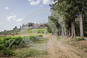 Brolio Castle and the nearby vineyards