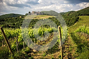 Castles and vineyards of Tuscany, Chianti wine region of Italy