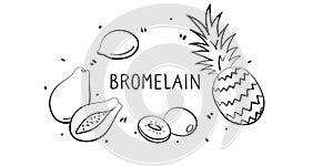 Bromelain-containing food. Groups of healthy products containing vitamins and minerals. Set of fruits, vegetables, meats