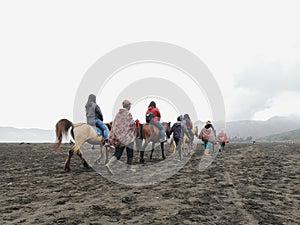 Bromo horse