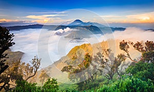 Bromo volcano at sunrise, East Java, , Indonesia