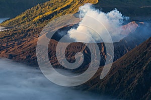 Bromo volcano crater in a beautiful morning, east Java in Indonesia