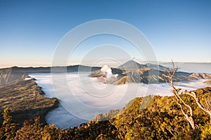 Bromo volcano