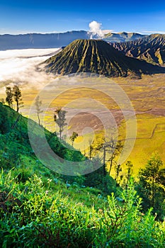 Bromo volcano at sunrise, East Java, Indonesia