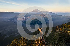 Bromo Volcano Sunrise, Java, Indonesia