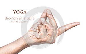 Bronchial mudra