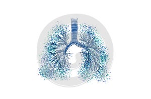 Bronchial tree (respiratory tree) multiple-branched trachea, bronchi and lungs.