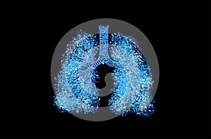 Bronchial tree (respiratory tree) multiple-branched trachea, bronchi and lungs.