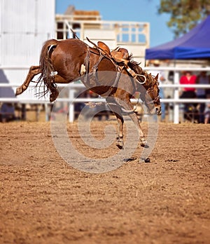 Bronco Bucks Off Cowboy At Rodeo