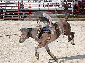 Bronco Riding 4 photo