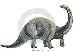 Brontosaurus