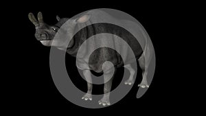 Brontotherium Dinosaur in Rotation on Black Background